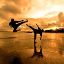 Champion's Martial Arts - Martial Arts Instruction