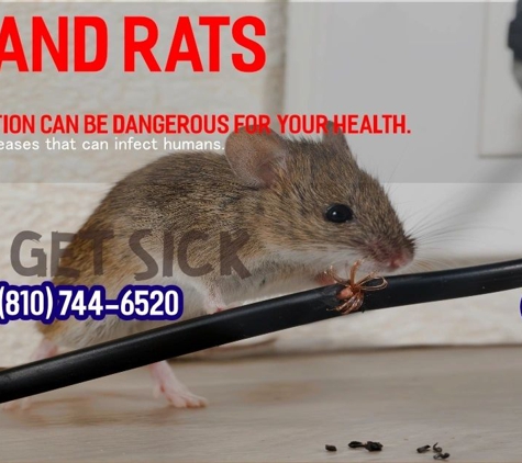 Becks Pest Control - Flushing, MI