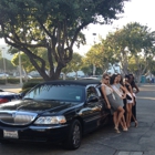 Dynasty Limousine Inc.