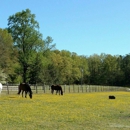 Tidewater Equine Clinic & Farm Animal Services - Veterinarian Emergency Services