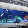 Petco gallery