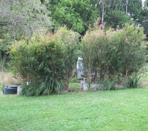 Ecoteam - Lismore, NSW