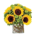 Nan's Flowers & Gifts - Flowers, Plants & Trees-Silk, Dried, Etc.-Retail
