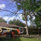 Wood slingers tree service