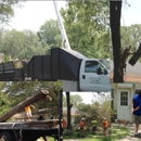 Gulf Coast Tree Specialists - Building Contractors