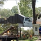 Gulf Coast Tree Specialists