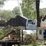 Gulf Coast Tree Specialists