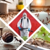 Impressive Exterminating Pest Control gallery