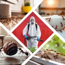 Impressive Exterminating Pest Control - Pest Control Services