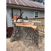 Tiger Tree Service gallery