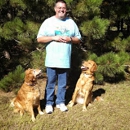 Dog Gone Fun Training - Dog Training