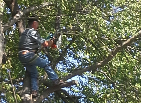 Slawson's Tree Service, Owner George Slawson - Jones, OK