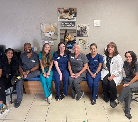 VCA Ormond Beach Animal Hospital - Ormond Beach, FL