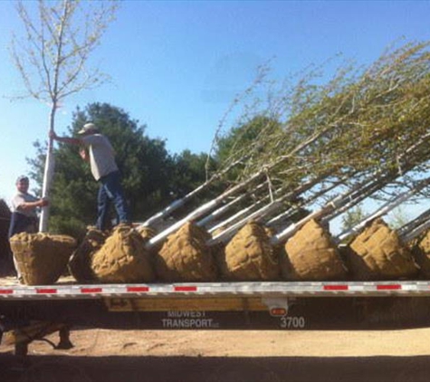 Walnut Creek Nursery - Marengo, IL