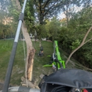 Trees by Forrest | Tree Removal Company in Plymouth, MN - Tree Service