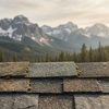 Montana Roof Man gallery