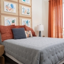 Oasis at Magnolia - Apartments