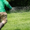 Turf Tamers gallery