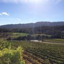 Arrowood Winery - Wineries