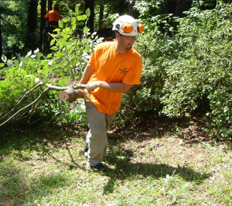 Hayward Best Tree Services - Hayward, CA