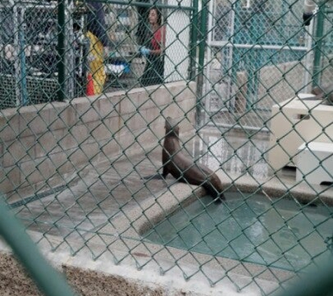 Marine Mammal Care Center - San Pedro, CA