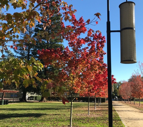 Mitchell Park Community Center - Palo Alto, CA