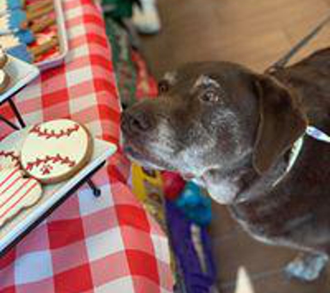 Woof Gang Bakery & Grooming Fleming Island - Fleming Island, FL