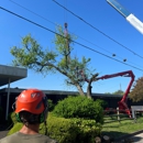 A Atlantic Tree Service - Tree Service