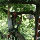 Musser's Tree Service