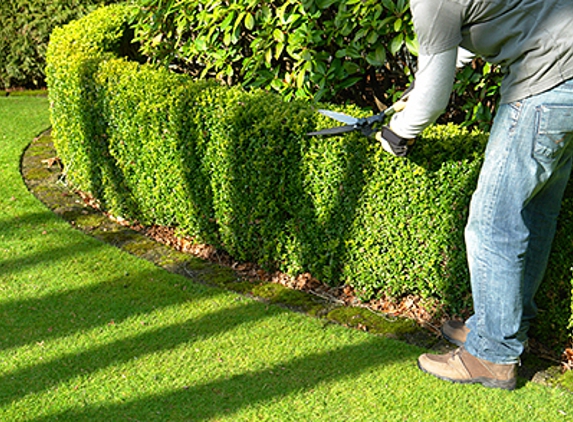 Adobe Hills All Season Lawn & Yard  Care - Albuquerque, NM