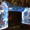 Rainforest Cafe gallery