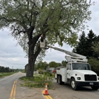 Beaver Creek Tree Service