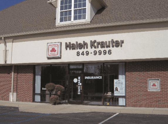 Haleh Krauter - State Farm Insurance Agent - Indianapolis, IN