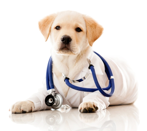 Vetpronto-Mobile Veterinarians - Glen Burnie, MD