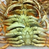 Monterey Fish Company gallery