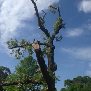 Stanley Tree and Landscaping - Cartersville, GA