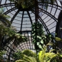 Botanical Building and Lily Pond