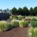 Turf-N-Soil Landscaping LLC