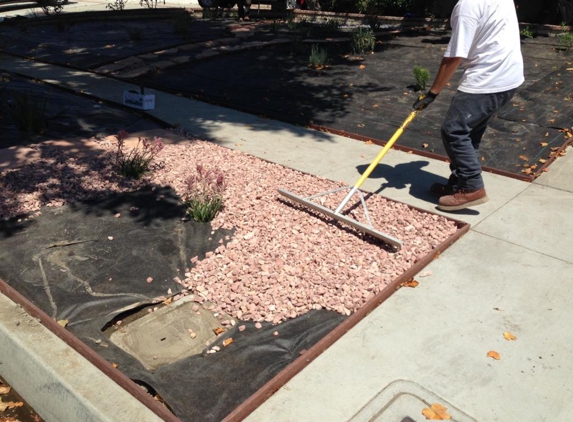 manuels landscaping service - Long Beach, CA