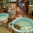 Marine Science Center - Petting Zoos