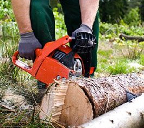 Rod's Tree Service - Carmichael, CA