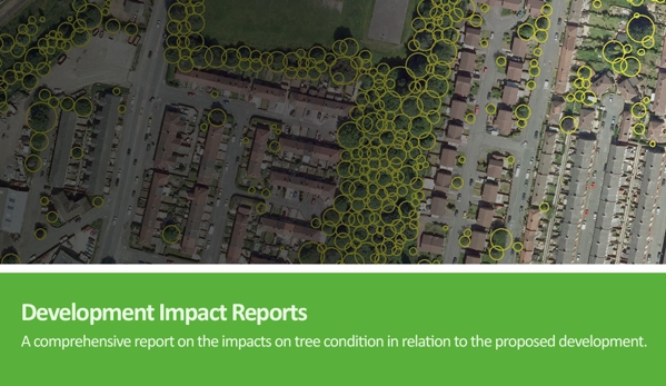 Arborman - Tree Solutions - Port Adelaide, SA. Development Impact Reports