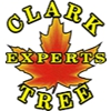 Clark Tree Experts gallery