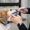 West Concord Animal Clinic gallery