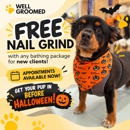 Well Groomed Pets - Chandler - Pet Grooming