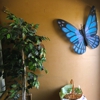 Deb's Butterfly Patch Florist gallery