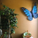 Deb's Butterfly Patch Florist - Florists