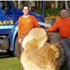 Foley's Tree Service gallery