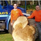 Foley's Tree Service