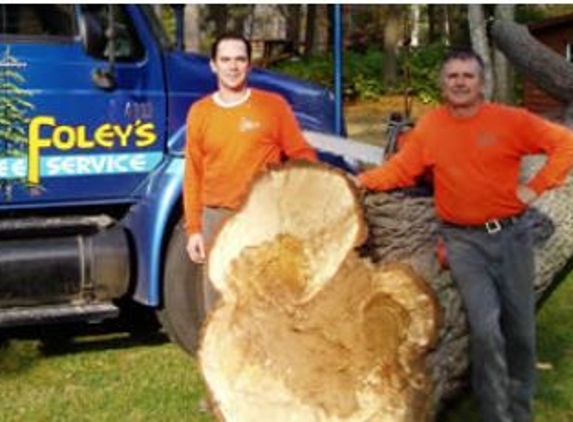 Foley's Tree Service - Tomahawk, WI